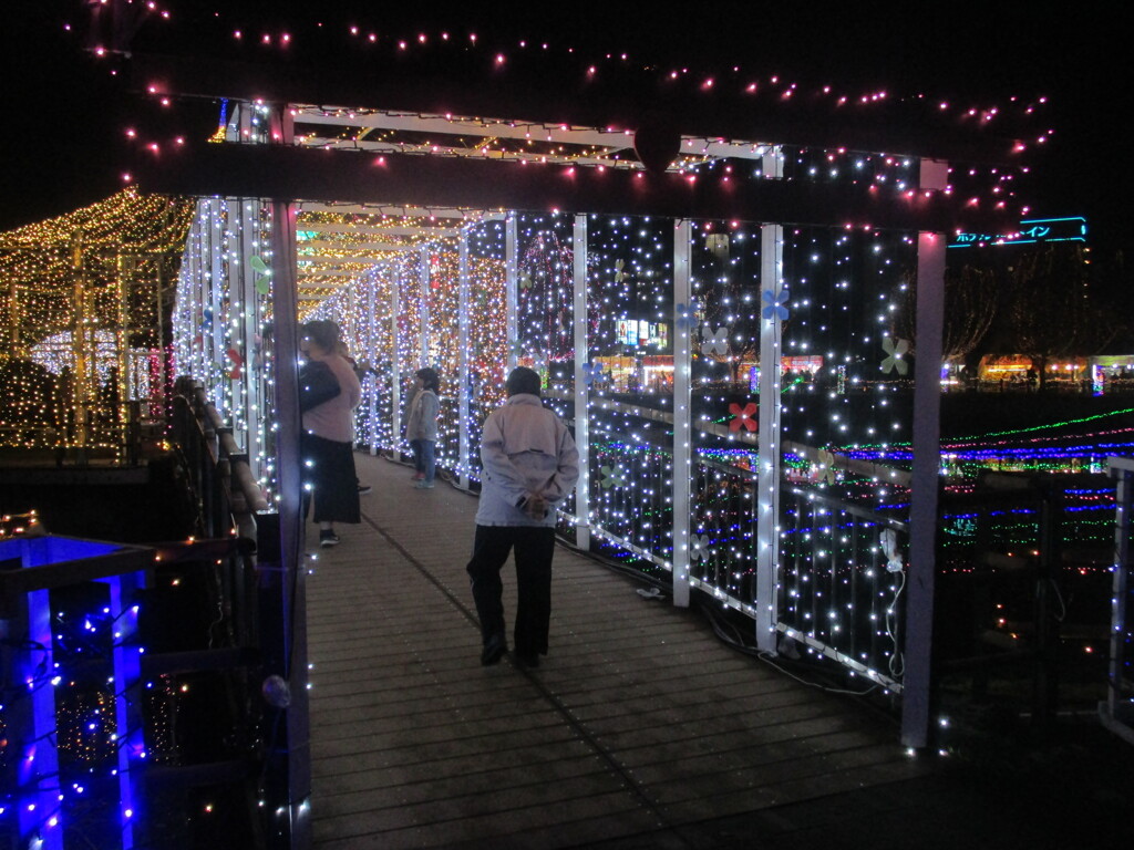 佐賀県鳥栖市中央公園のイルミネーション　⑨