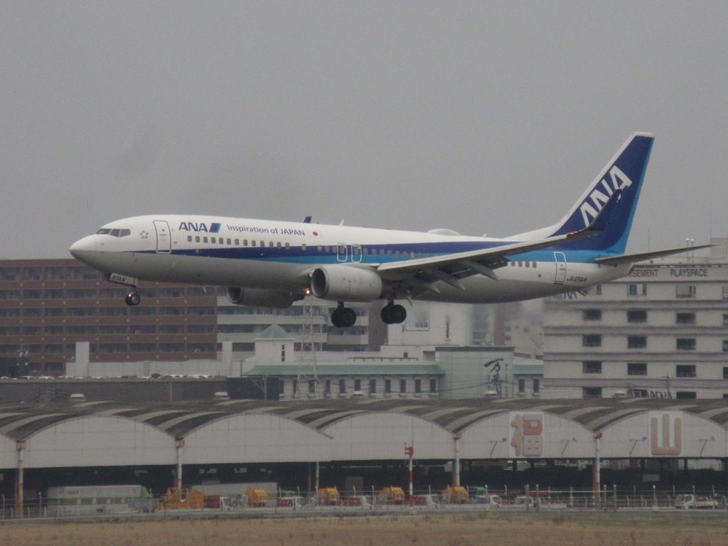 ANA　JA56AN　737-800