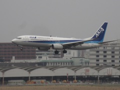 ANA　JA56AN　737-800