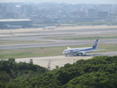 高台から眺める空港③