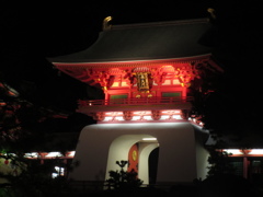 夜の赤間神宮