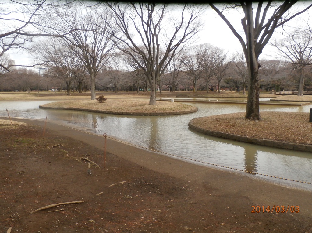 代々木公園①
