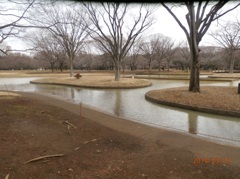 代々木公園①
