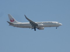 JAL  737-800  JA314J