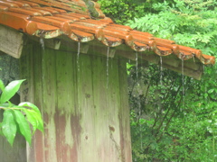 屋根から落ちる雨水