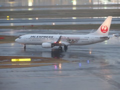 JALのミッキージェット③