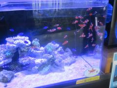 博多シティでの天空の水族館①