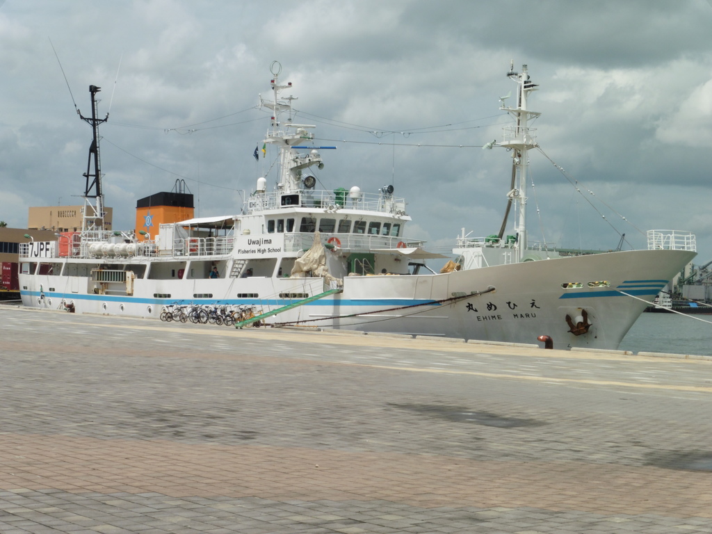 えひめ丸入港①