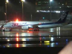 羽田国際線ターミナルより①