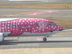 ピンクのじんべえジェット