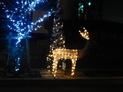 トナカイさんとイルミネーション③