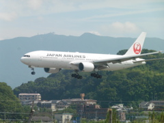 JAL　B777-200着陸
