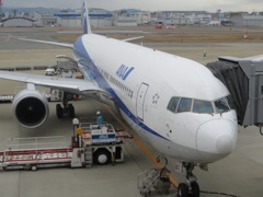 出発準備中の飛行機を目の前から