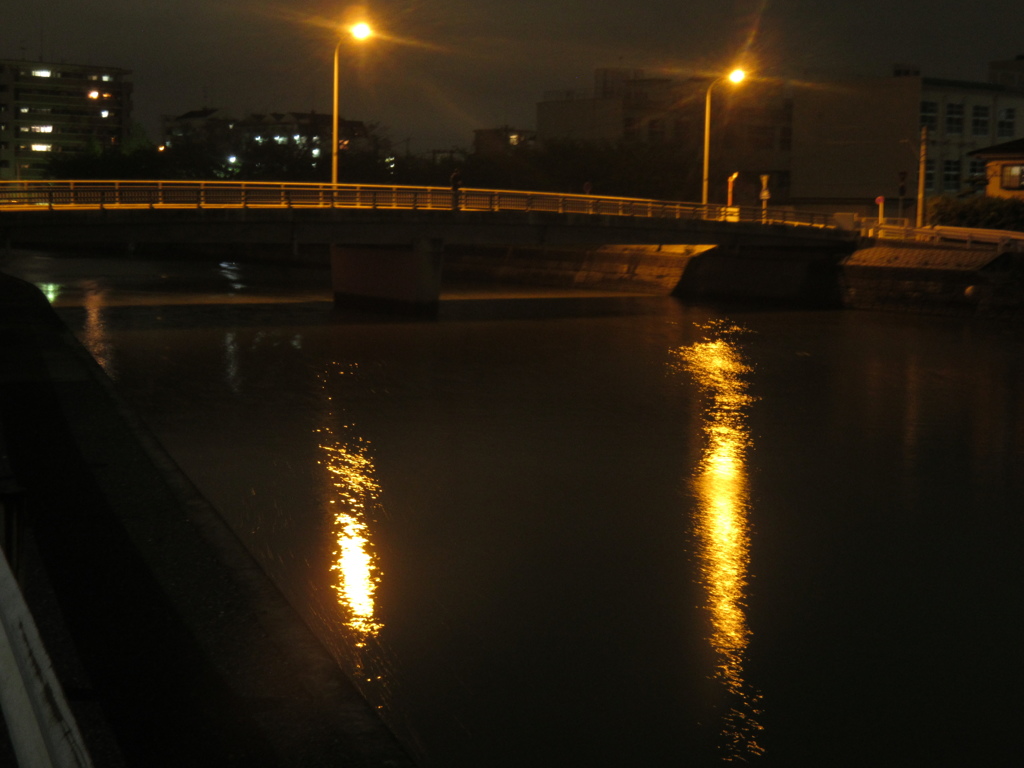 夜の川辺と街灯の光　①