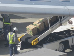 旅客機にたくさん積み込んでます