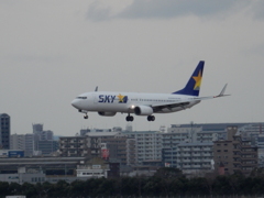 SKYMARK  JA73NYの着陸　福岡空港にて　①