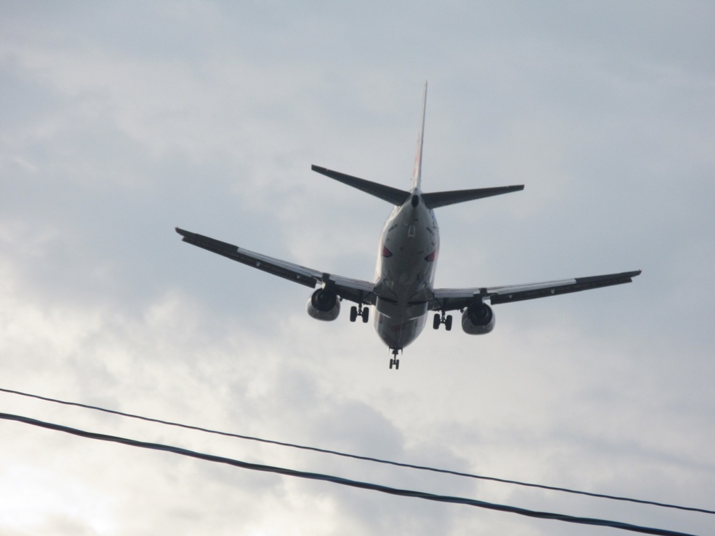 後ろからピンクのジンベエ