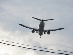 後ろからピンクのジンベエ