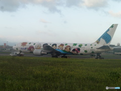 ナイトステイ④