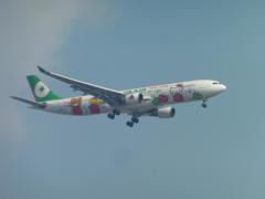 EVA  A330の着陸