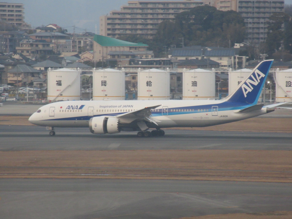 ANA 787-8 JA810A