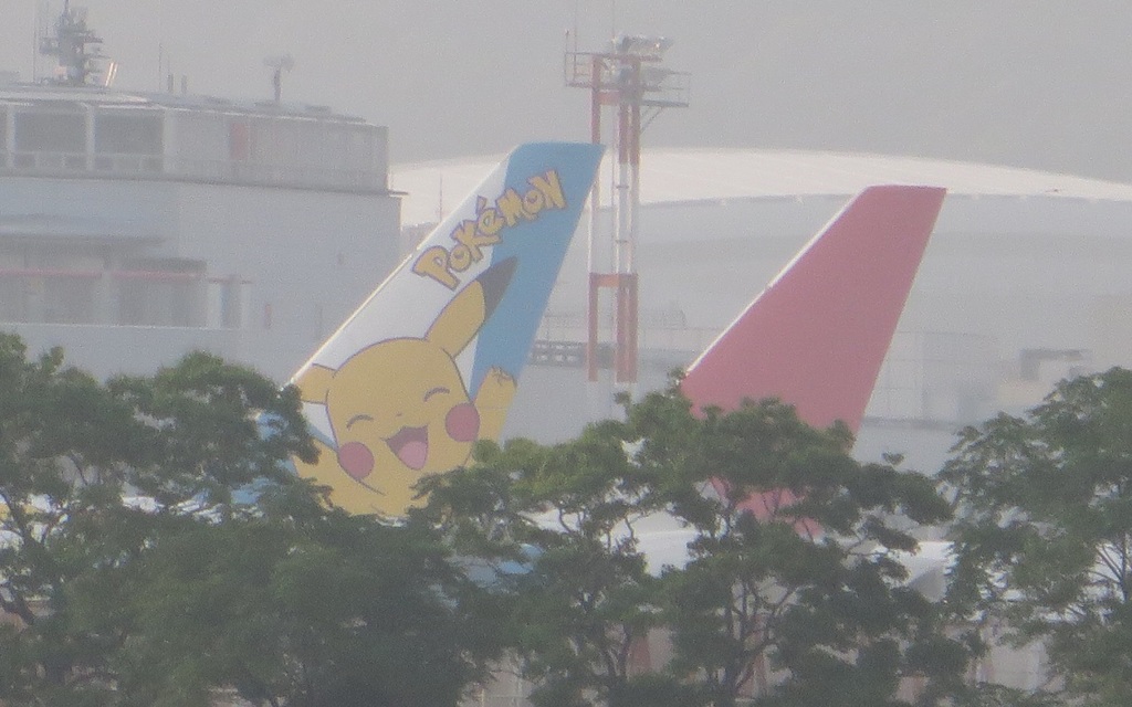 木の間から見えるポケモンの翼