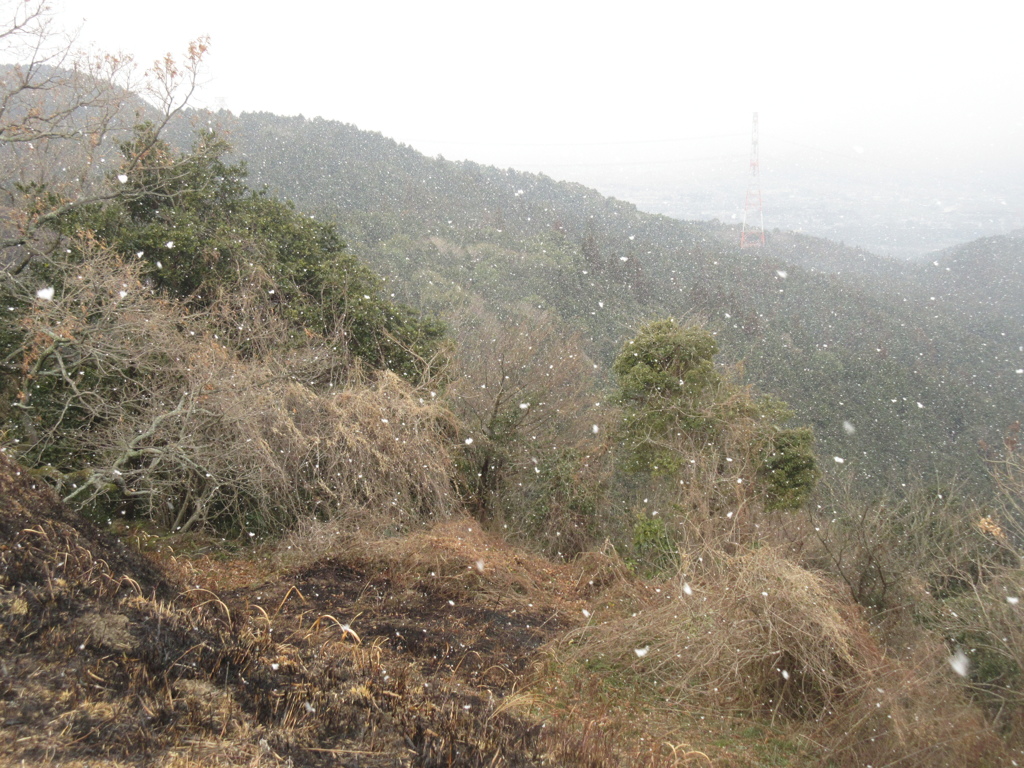 山頂に降りしきる雪②