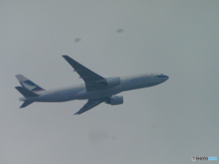 遠くから見たキャセイ