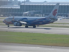 AIR　CHINA　珍しい塗装機　②