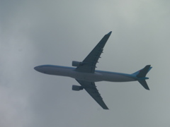 KOREAN AIR  A330離陸