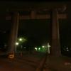 夜の鳥居と参道