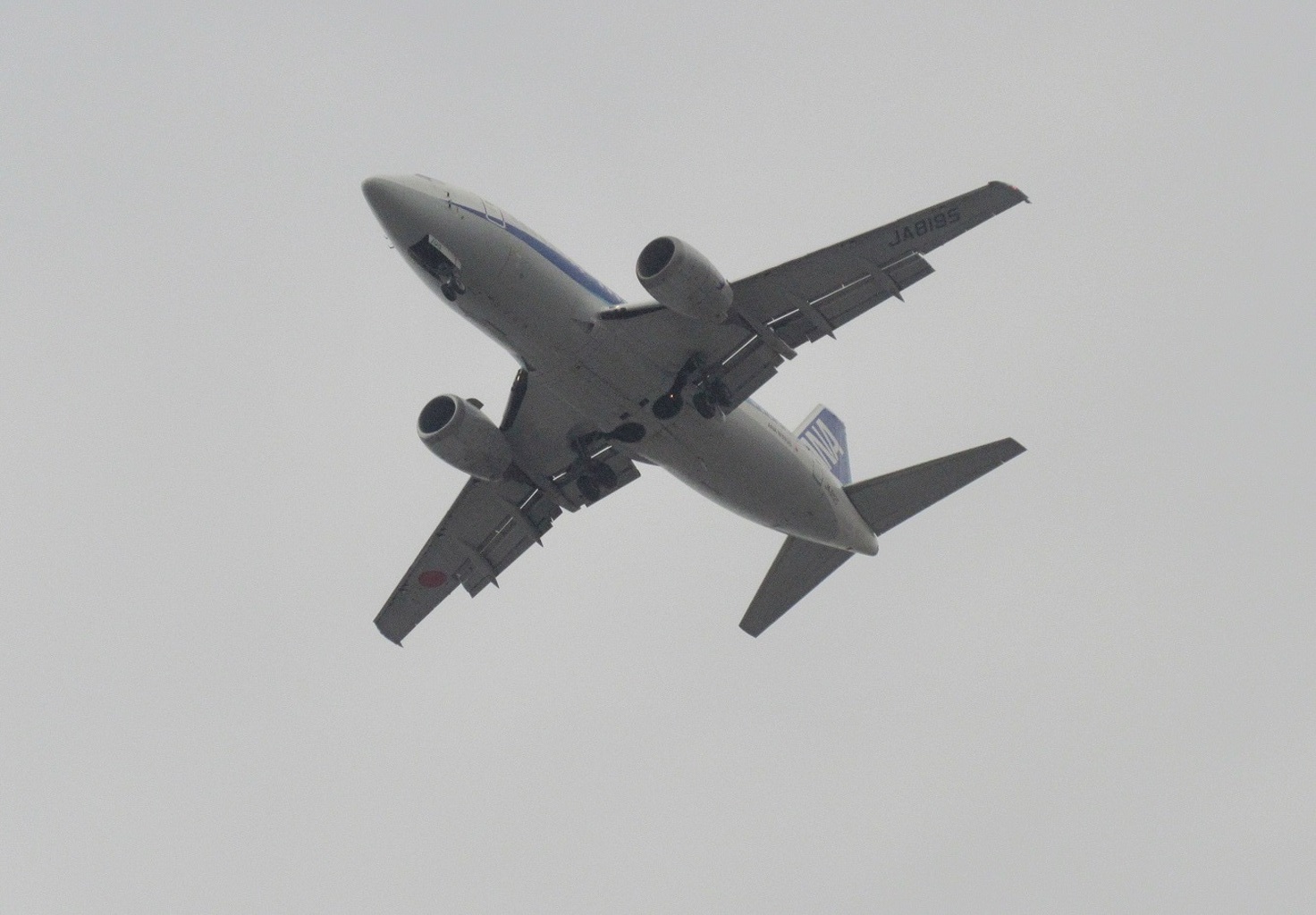 着陸ドルフィン