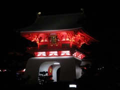 夜の赤間神宮
