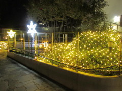 まだ残るクリスマスネオン