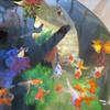 水槽と金魚②