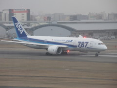 787とストロボヒット