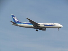 ANA   JA606A　福岡空港