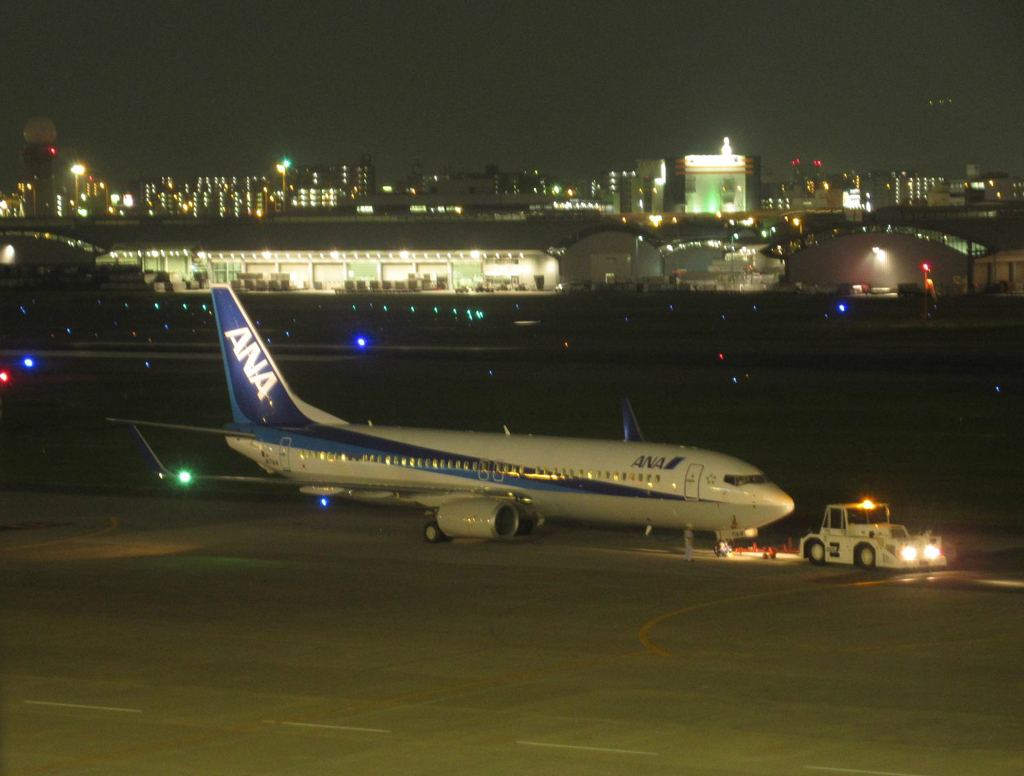 ＡＮＡ　B737-800