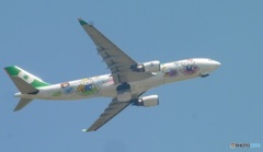 EVA　A330-200離陸