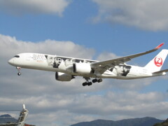 JAL  A350  JA04XJ  福岡空港　①