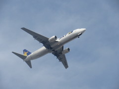 SKYMARK　B737-800