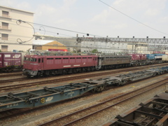 EF81-403＋303の重連　福岡貨物ターミナルにて　①