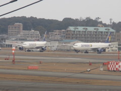 ２機のSKY　A330