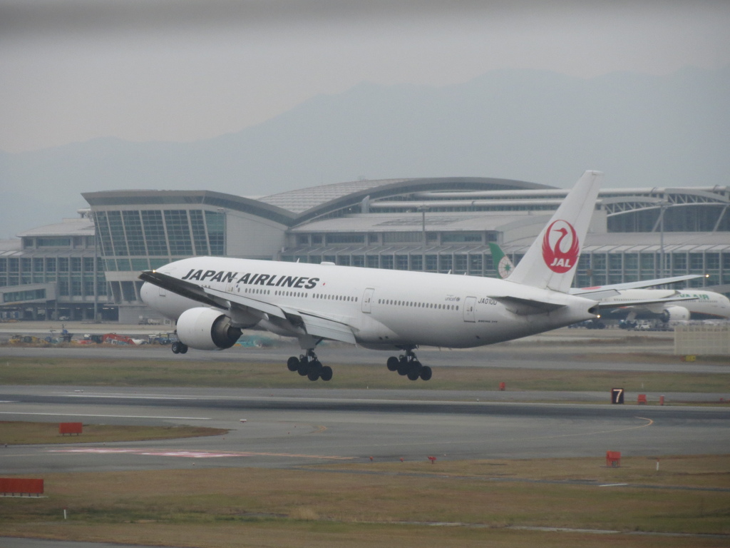 JAL  B777-200ER  JA010D