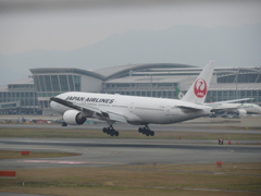 JAL  B777-200ER  JA010D