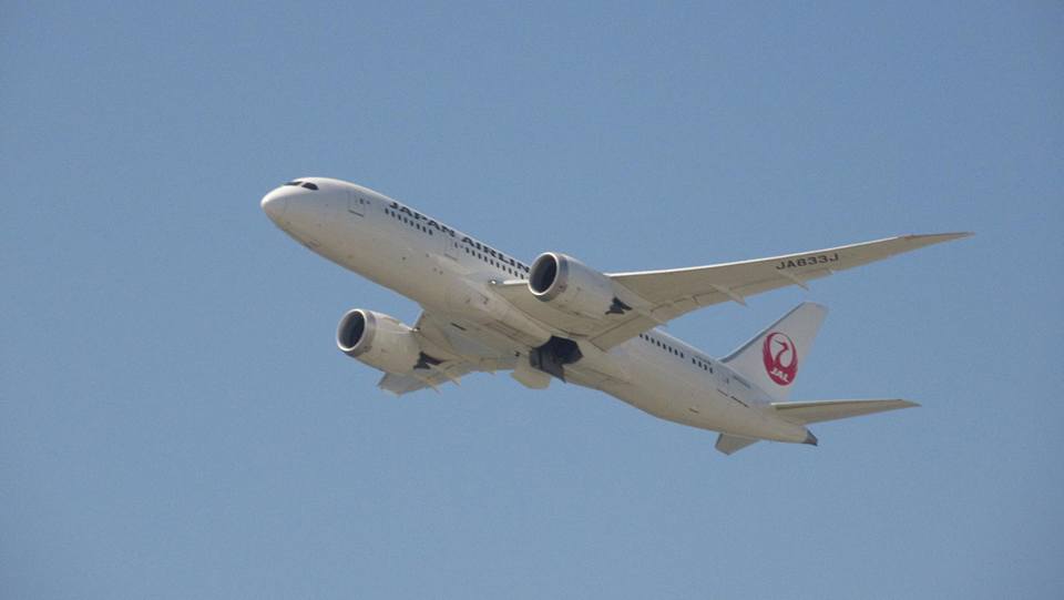 飛ぶJAL　B787-8　JA833J