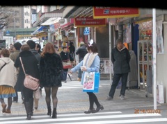 秋葉のティッシュ配りの少女