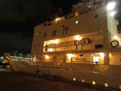 夜の博多港③