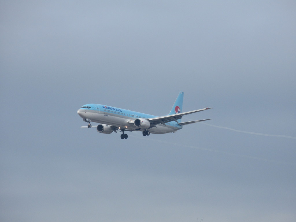 大韓航空B737とベイパー