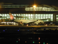 夜の福岡空港にて　④